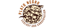 Plato Negro